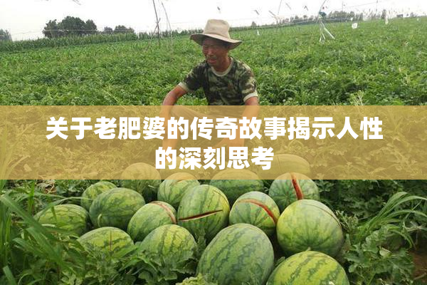 关于老肥婆的传奇故事揭示人性的深刻思考