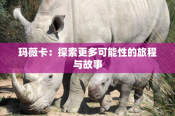 玛薇卡：探索更多可能性的旅程与故事