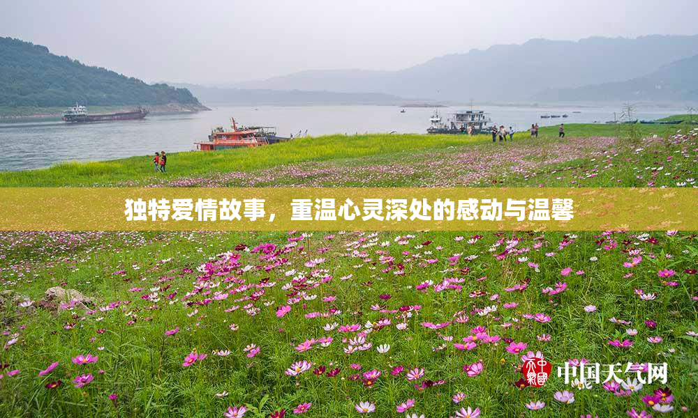 独特爱情故事，重温心灵深处的感动与温馨