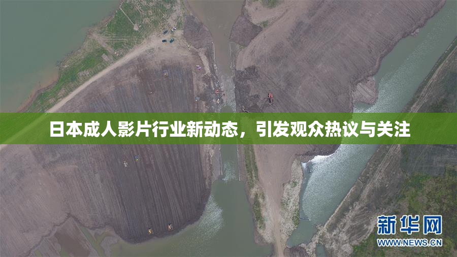 日本成人影片行业新动态，引发观众热议与关注