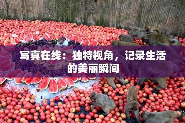 写真在线：独特视角，记录生活的美丽瞬间