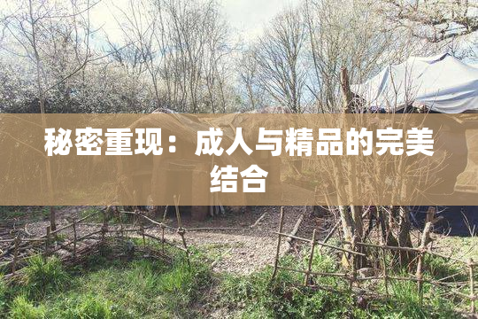 秘密重现：成人与精品的完美结合