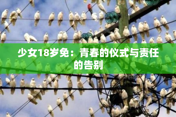 少女18岁免：青春的仪式与责任的告别