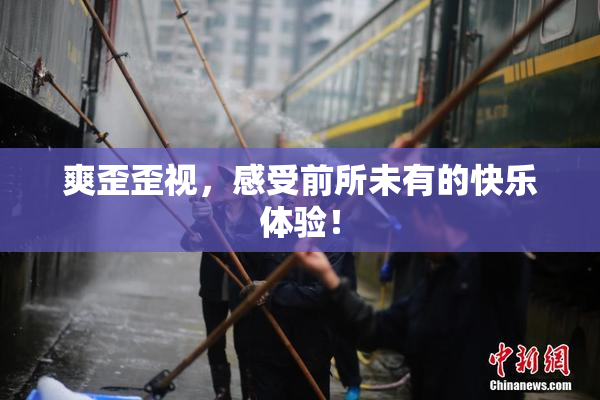 爽歪歪视，感受前所未有的快乐体验！