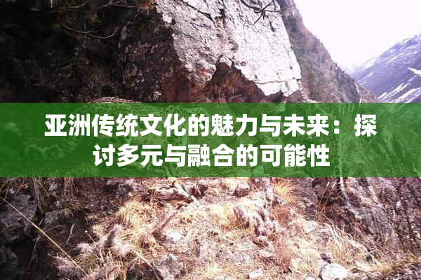 亚洲传统文化的魅力与未来：探讨多元与融合的可能性