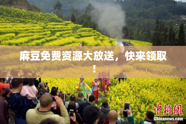 麻豆免费资源大放送，快来领取！