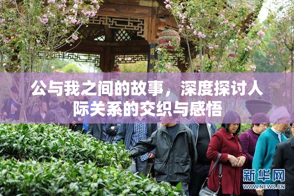 公与我之间的故事，深度探讨人际关系的交织与感悟