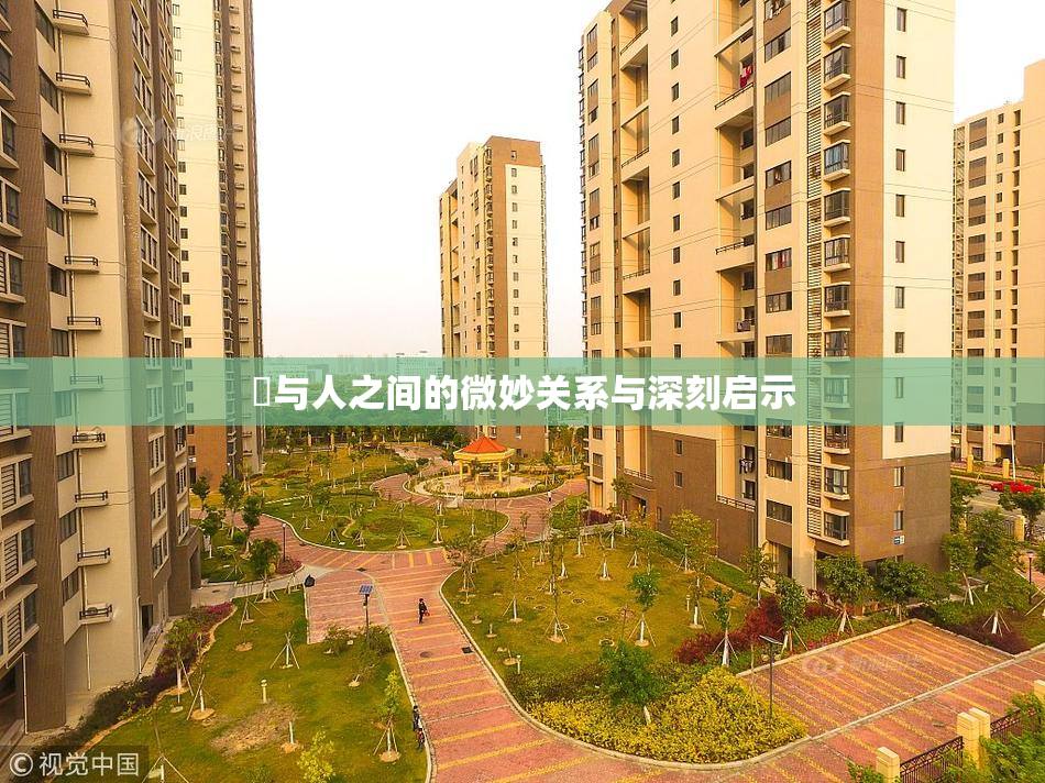 嘼与人之间的微妙关系与深刻启示