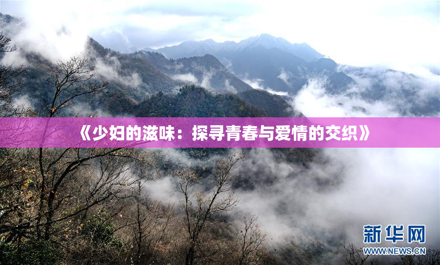《少妇的滋味：探寻青春与爱情的交织》