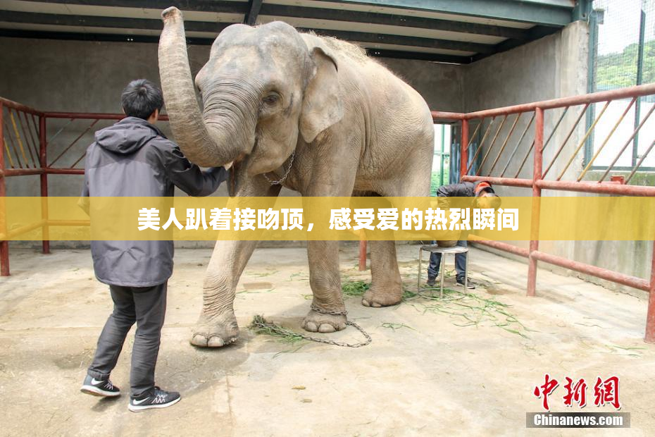 美人趴着接吻顶，感受爱的热烈瞬间