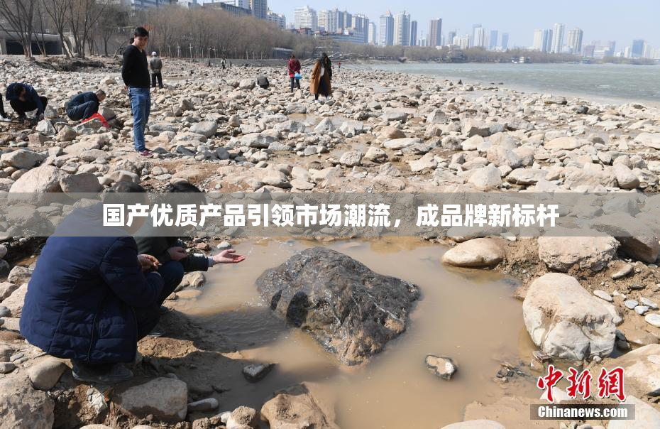 国产优质产品引领市场潮流，成品牌新标杆