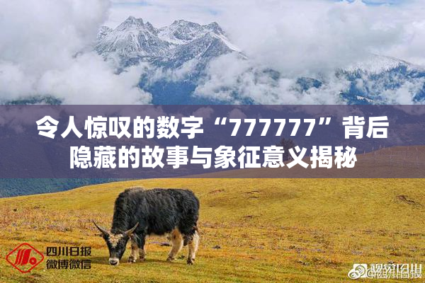 令人惊叹的数字“777777”背后隐藏的故事与象征意义揭秘