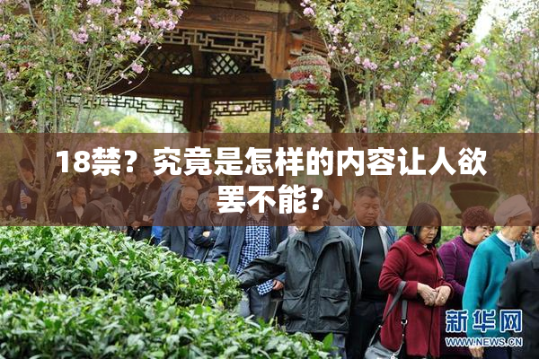 18禁？究竟是怎样的内容让人欲罢不能？