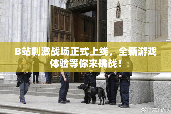 B站刺激战场正式上线，全新游戏体验等你来挑战！