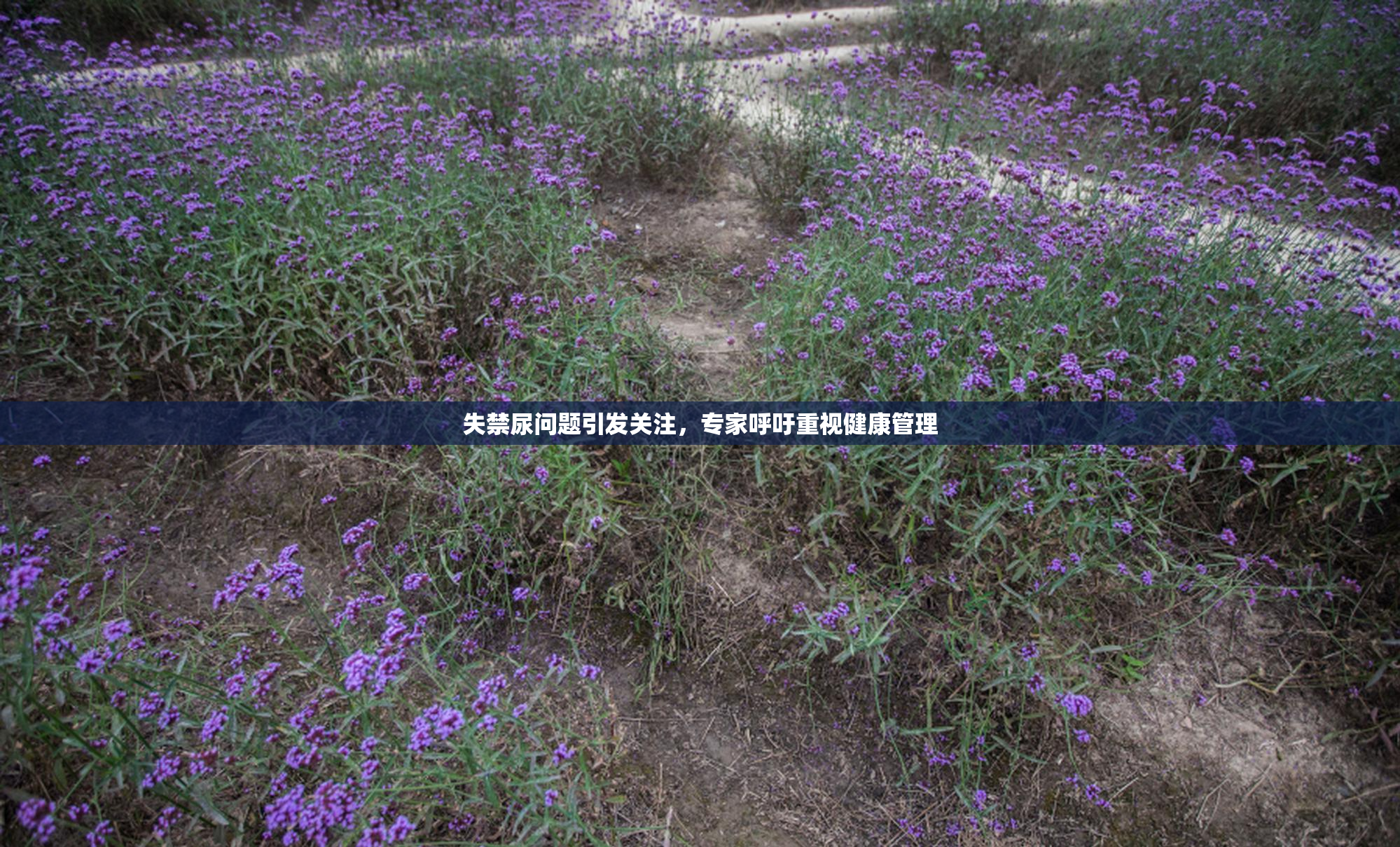 失禁尿问题引发关注，专家呼吁重视健康管理