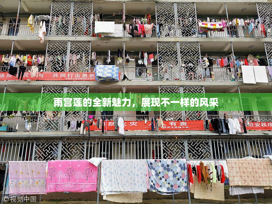雨宫莲的全新魅力，展现不一样的风采