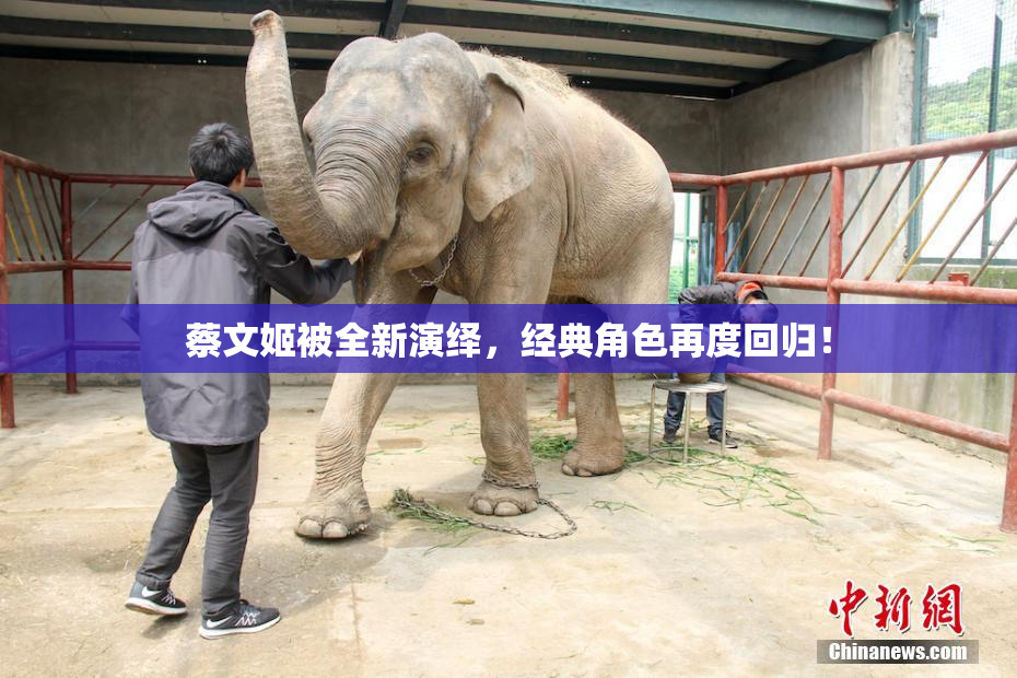 蔡文姬被全新演绎，经典角色再度回归！