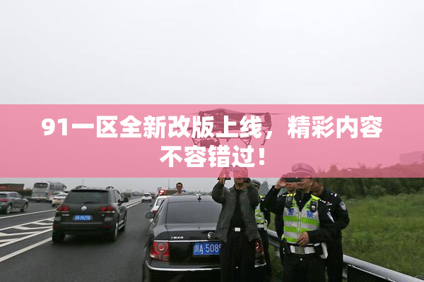 91一区全新改版上线，精彩内容不容错过！