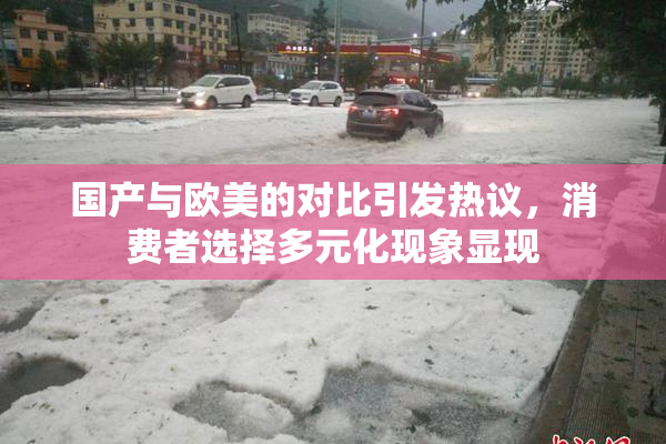 国产与欧美的对比引发热议，消费者选择多元化现象显现