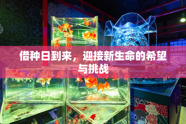 借种日到来，迎接新生命的希望与挑战