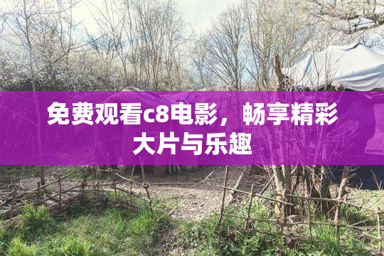 免费观看c8电影，畅享精彩大片与乐趣