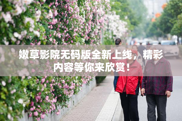 嫩草影院无码版全新上线，精彩内容等你来欣赏！