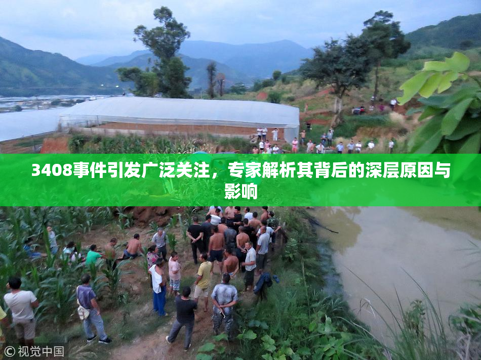 3408事件引发广泛关注，专家解析其背后的深层原因与影响