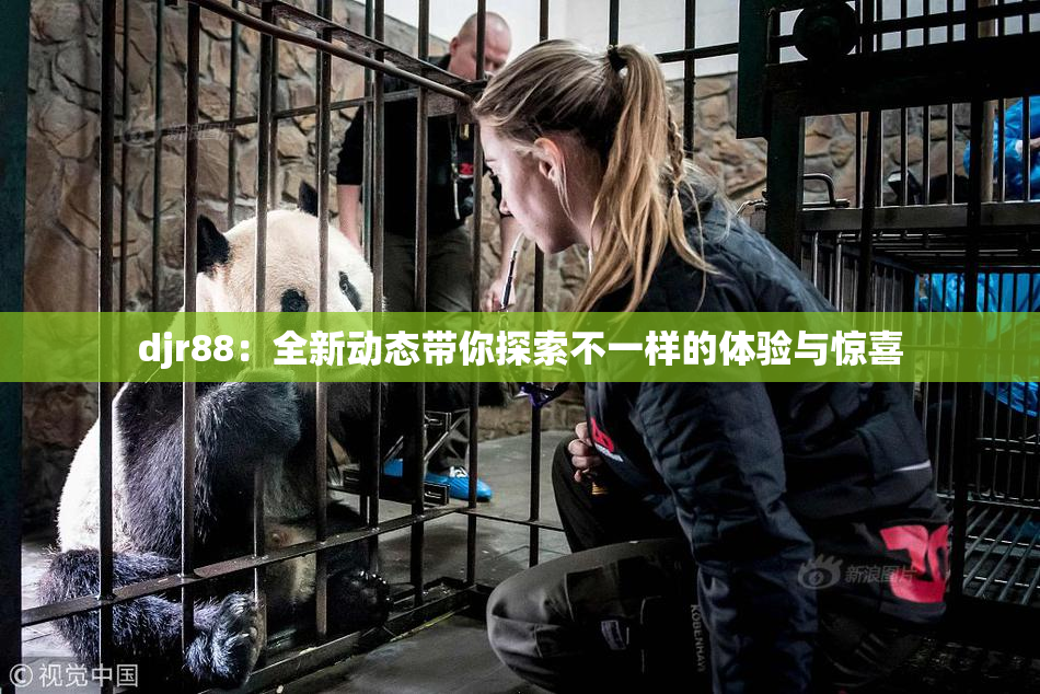 djr88：全新动态带你探索不一样的体验与惊喜