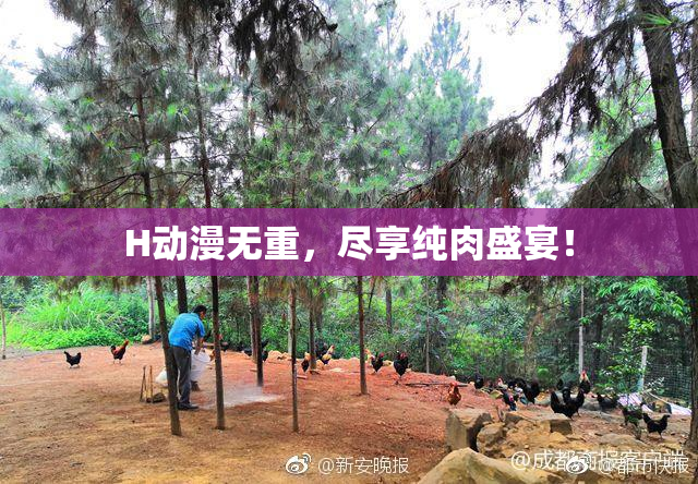 H动漫无重，尽享纯肉盛宴！