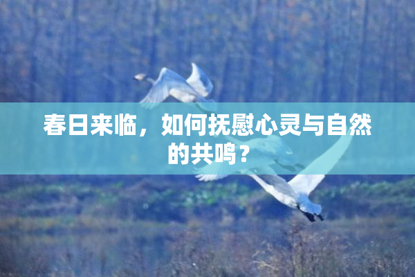 春日来临，如何抚慰心灵与自然的共鸣？