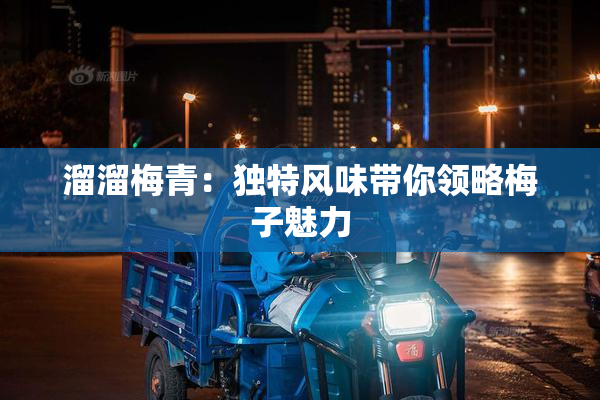 溜溜梅青：独特风味带你领略梅子魅力