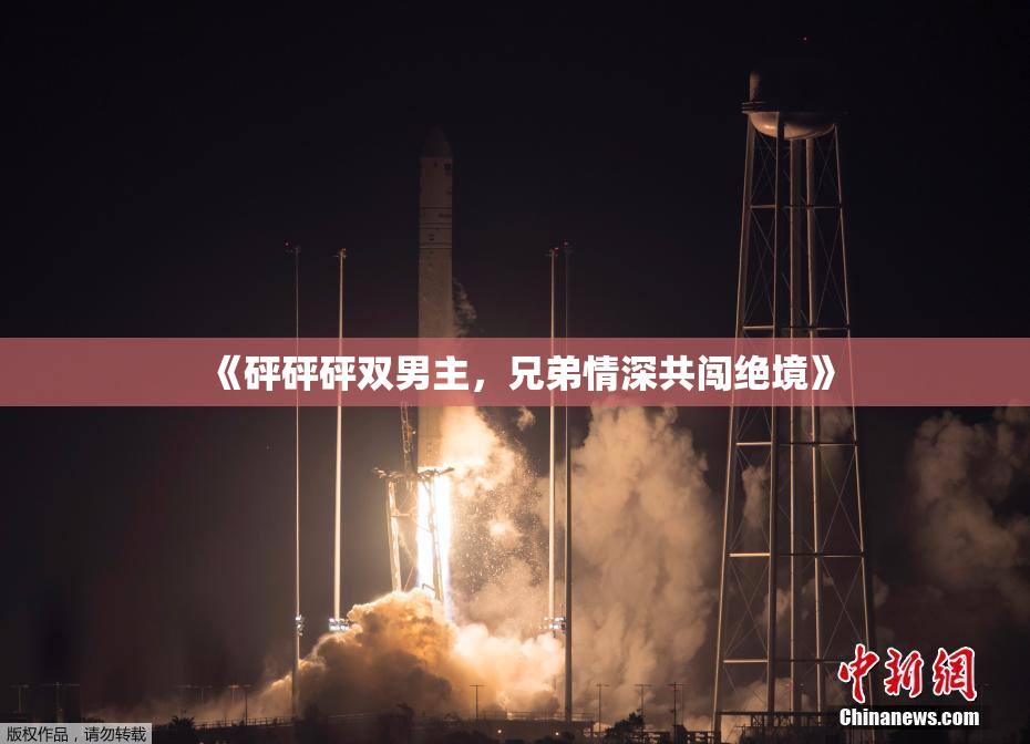 《砰砰砰双男主，兄弟情深共闯绝境》