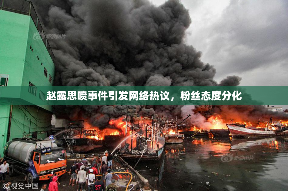 赵露思喷事件引发网络热议，粉丝态度分化