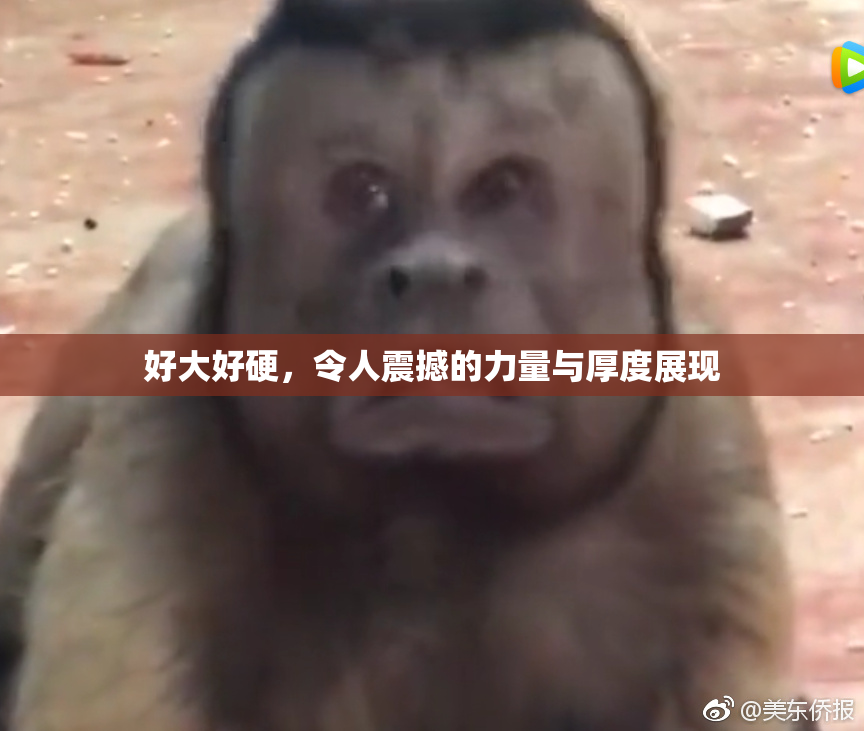 好大好硬，令人震撼的力量与厚度展现