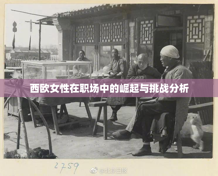 西欧女性在职场中的崛起与挑战分析