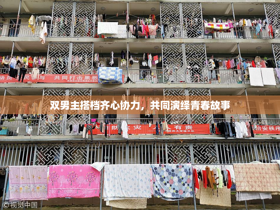 双男主搭档齐心协力，共同演绎青春故事