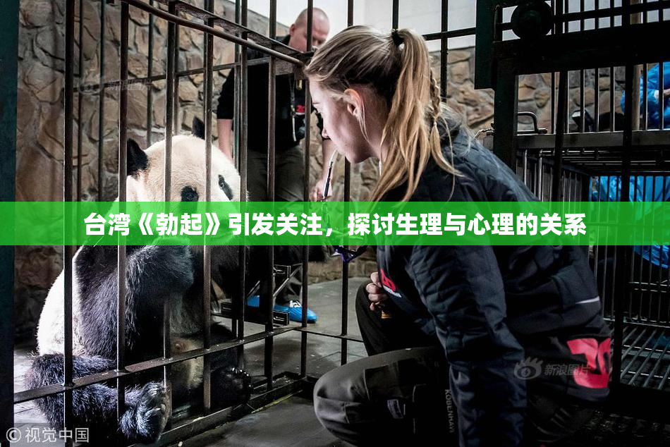 台湾《勃起》引发关注，探讨生理与心理的关系
