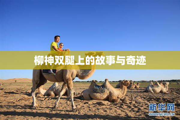 柳神双腿上的故事与奇迹