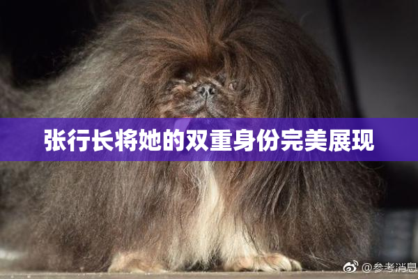 张行长将她的双重身份完美展现