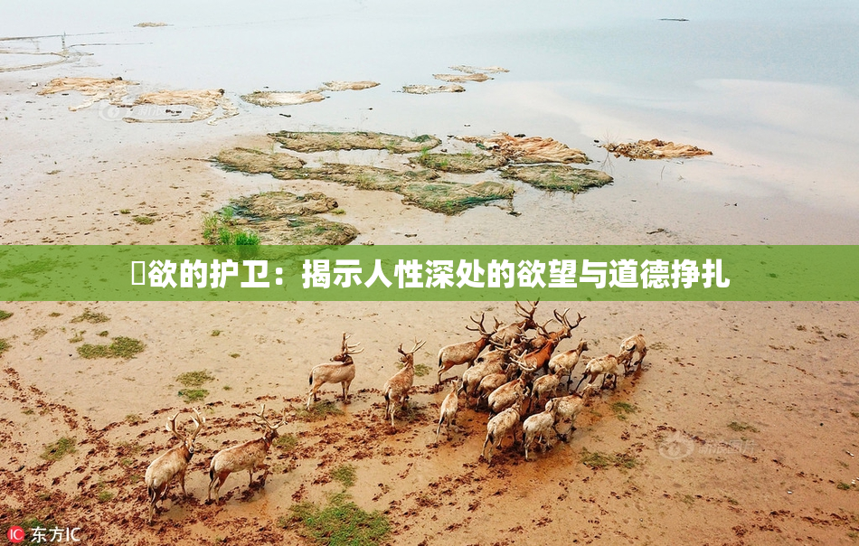 婬欲的护卫：揭示人性深处的欲望与道德挣扎