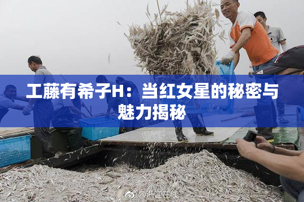 工藤有希子H：当红女星的秘密与魅力揭秘