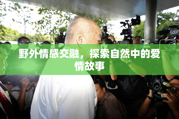 野外情感交融，探索自然中的爱情故事