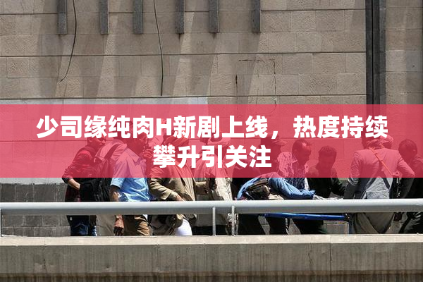 少司缘纯肉H新剧上线，热度持续攀升引关注