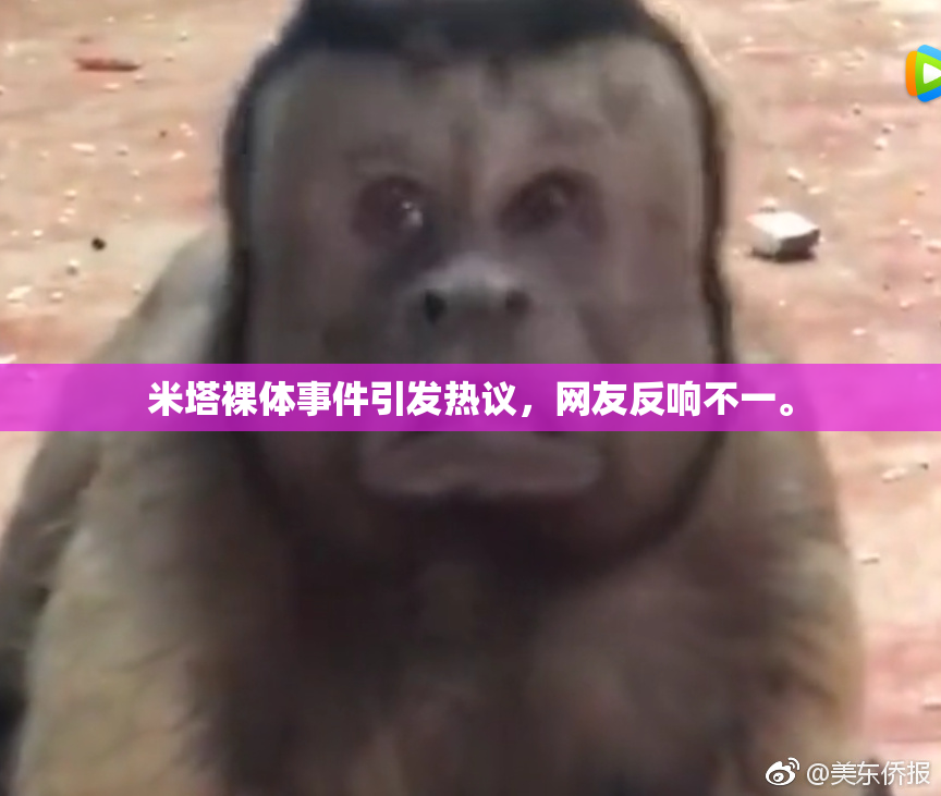 米塔裸体事件引发热议，网友反响不一。