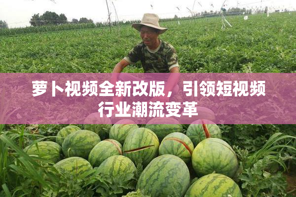 萝卜视频全新改版，引领短视频行业潮流变革