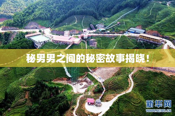 秘男男之间的秘密故事揭晓！
