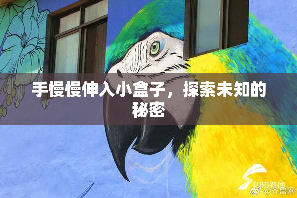手慢慢伸入小盒子，探索未知的秘密