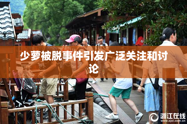 少萝被脱事件引发广泛关注和讨论