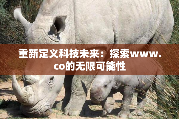 重新定义科技未来：探索www.co的无限可能性