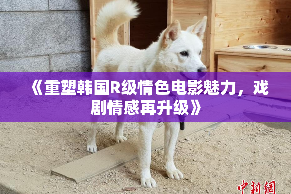 《重塑韩国R级情色电影魅力，戏剧情感再升级》